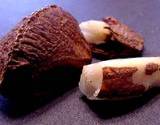 a photo of Brazil nuts a natural food source of silenium