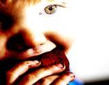 closeup of child eating cookie
