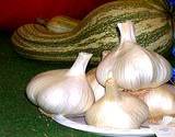 photo of a plate full of bulbs of garlic a natural food source of sulfur