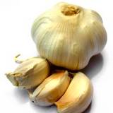 photo of a bulb of garlic and loose cloves with emphasis on benefits of garlic