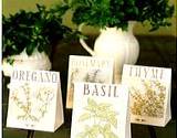 fresh herbs in vase and a bags of dried herbs on table 