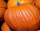 a photo of a stack of fresh pumpkins a natural source of vitamin A