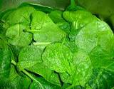 a photo of fresh spinach nautral source of glutamine