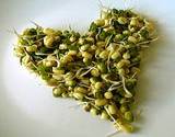 a photo of vegetable sprouts formed into a heart a natural souce of aspartic acid