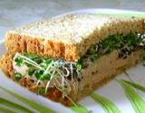 a photo of a sprout sandwich a natural source of aspartic acid