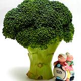 photo of a sprig of broccoli on the antioxidant list