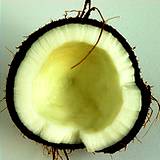 a photo of half of fresh coconut natural source of arginine