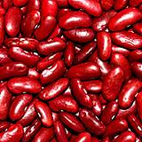 photo of a pile of dried kidney beans excellent source of amino acids and protein