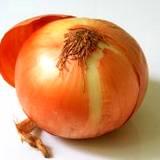 photo of an onion a natural food source of germanium