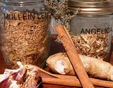 photo of natural herbal treatments for respiratory system infection