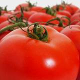 a photo of juicy red ripe tomatoes a natural source of vitamin B3 niacin